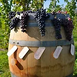 Corte Moranda Alloggio per agriturismo Verona
