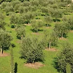 Alloggio per agriturismo Corte Moranda Verona