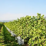 Corte Moranda Alloggio per agriturismo *