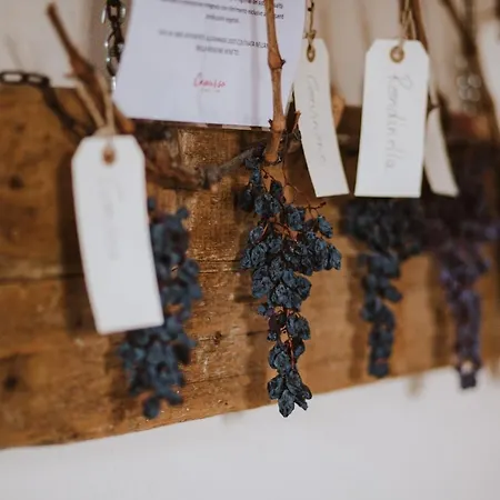 Corte Moranda Feriegård *