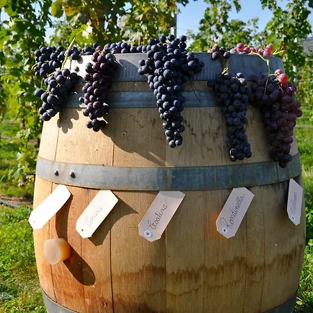 Corte Moranda Feriegård Verona