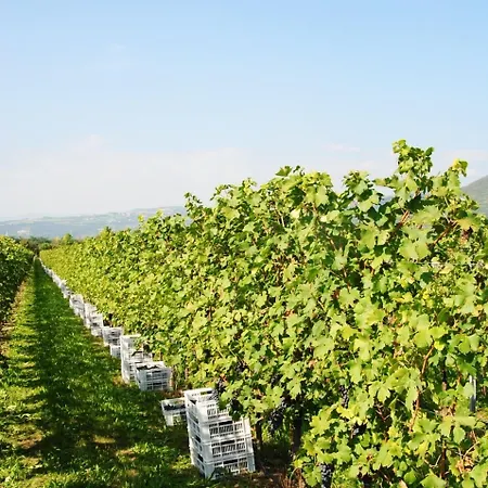 Corte Moranda Feriegård *