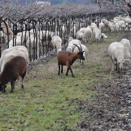 Corte Moranda Agroturismo