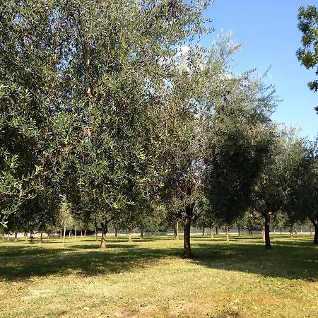 农庄科尔特莫兰达酒店 *