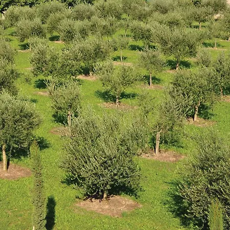 Séjour à la ferme Corte Moranda Vérone