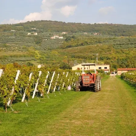 Corte Moranda Séjour à la ferme Vérone