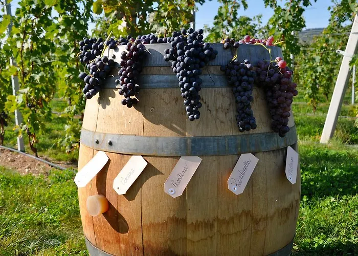 Corte Moranda Lantgård Verona